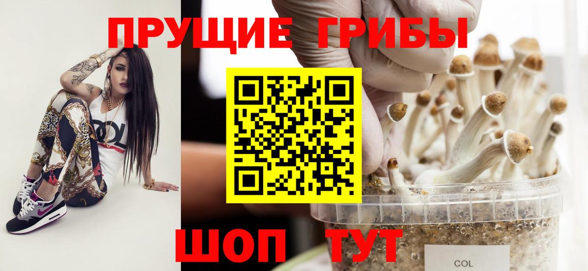 Псилоцибиновые грибы Psilocybine cubensis Елабуга