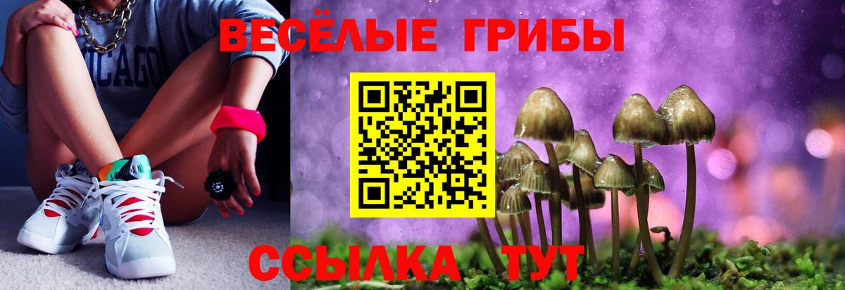 наркотики  Вход с VPN  Елабуга  Псилоцибиновые грибы GOLDEN TEACHER 